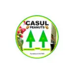 casul_logo